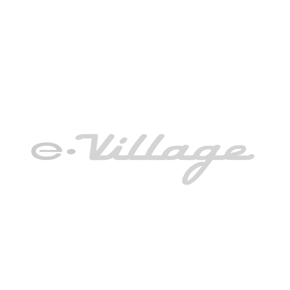 evillage-logo